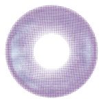 【インシャンパープル】VILLEGE 1day ヴィレジェ ワンデー 1箱10枚入り［双葉貿易］ 画像3